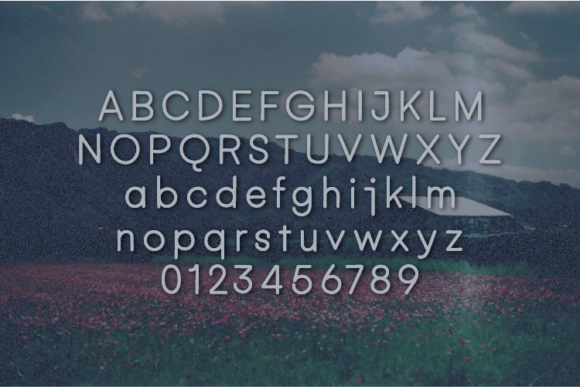 Affordable Font - Preview 1