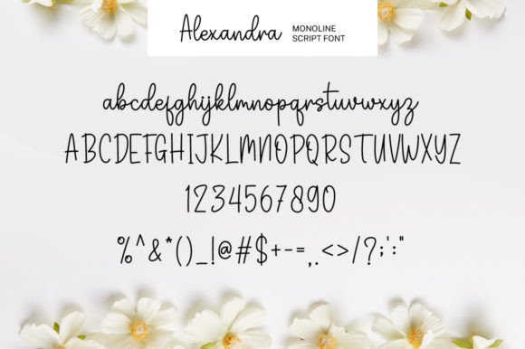 Alexandra Font - Preview 5