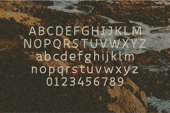 Branch Font - Preview 1
