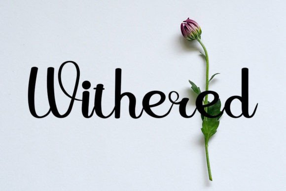 Darling Font - Preview 2