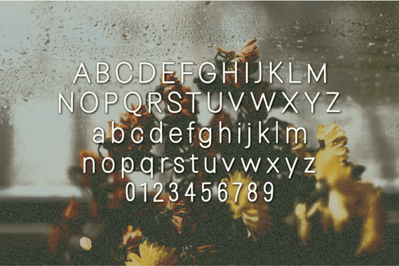 Heartbeat Font - Preview 1
