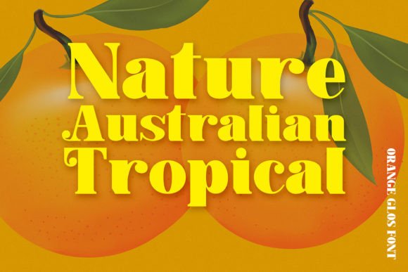 Orange Glos Font PNG with transparent background - Preview 2