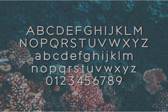 Reinforced Font PNG with transparent background - Preview 1