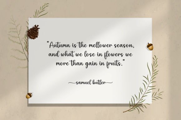 Autumn Font - Preview 1