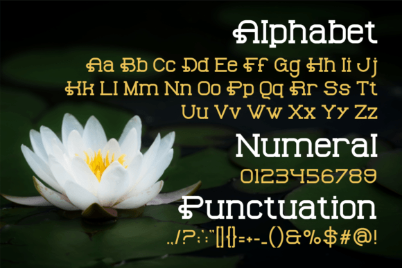 Bakadame Font - Preview 1