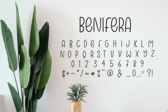 Benifera Font - Preview 4