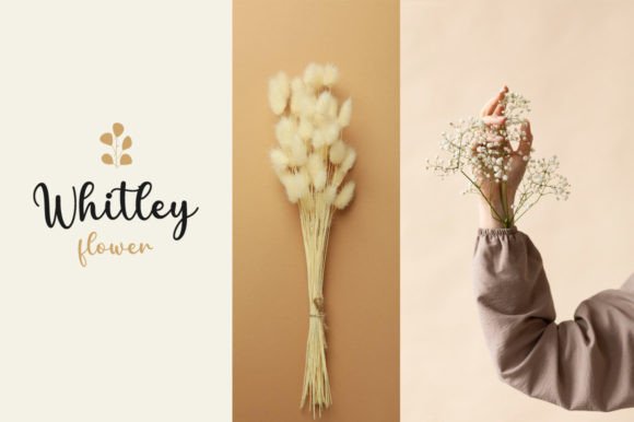 Davinia Font - Preview 3