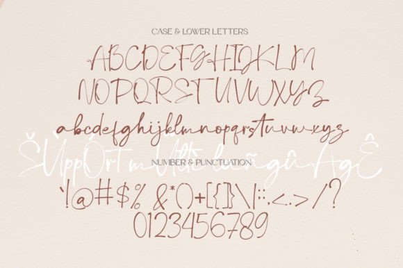 Debora Celine Font Font - Preview 5