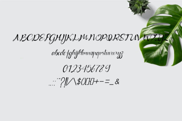 Quansa Font PNG with transparent background - Preview 3