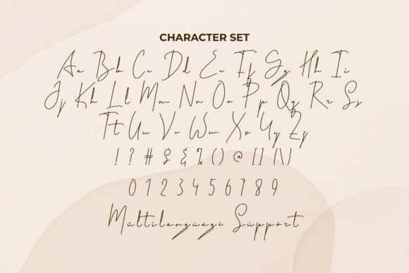 Signatory Font PNG with transparent background - Preview 2