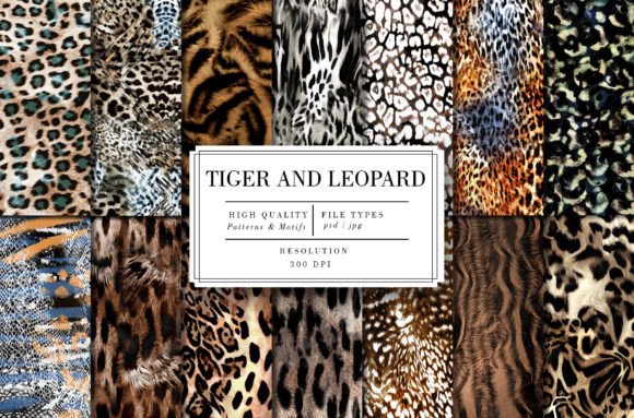 Tiger and Leopard