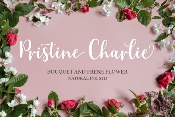 Astylife Font PNG with transparent background - Preview 1