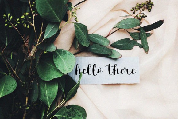 Amilla Font - Preview 3