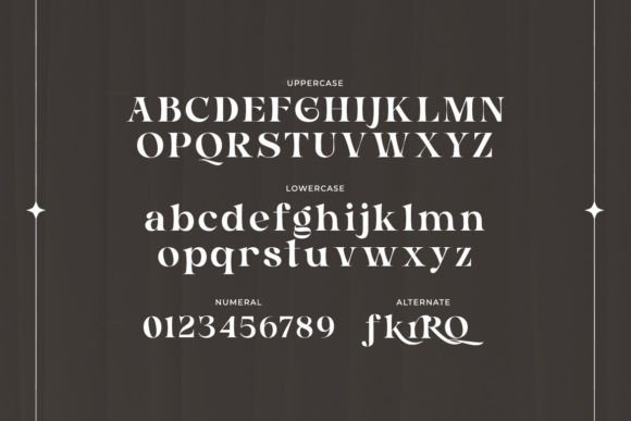 Barnice Font - Preview 1