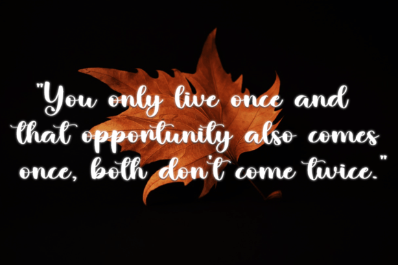 Dallas Font - Preview 3