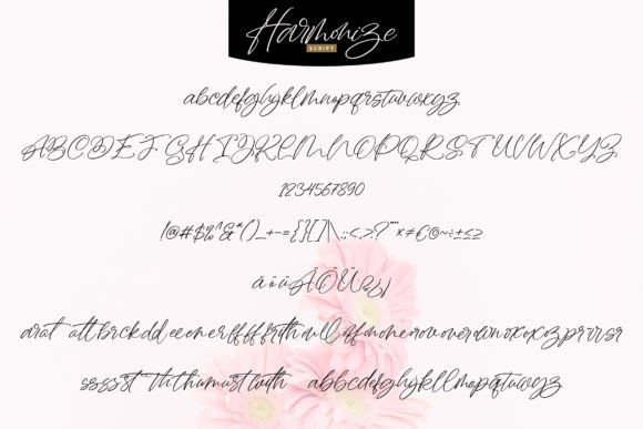 Harmonize Font - Preview 4