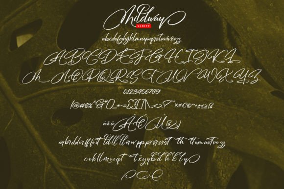Mildway Font PNG with transparent background - Preview 4