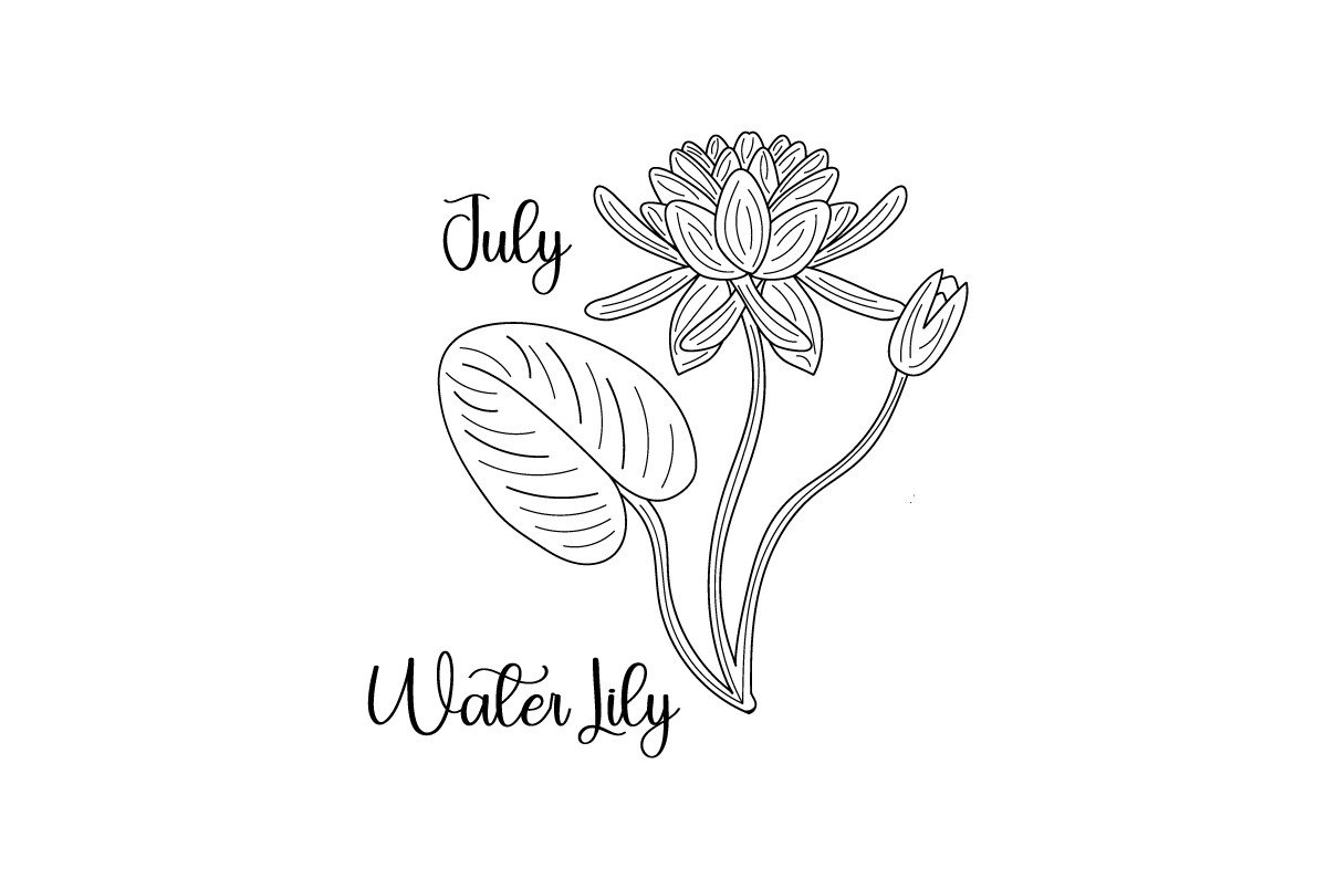 Birth Month Flowers - July - Water Lily - Line Art - Embroidery SVG Cut  file by Creative Fabrica Crafts  Creative Fabrica