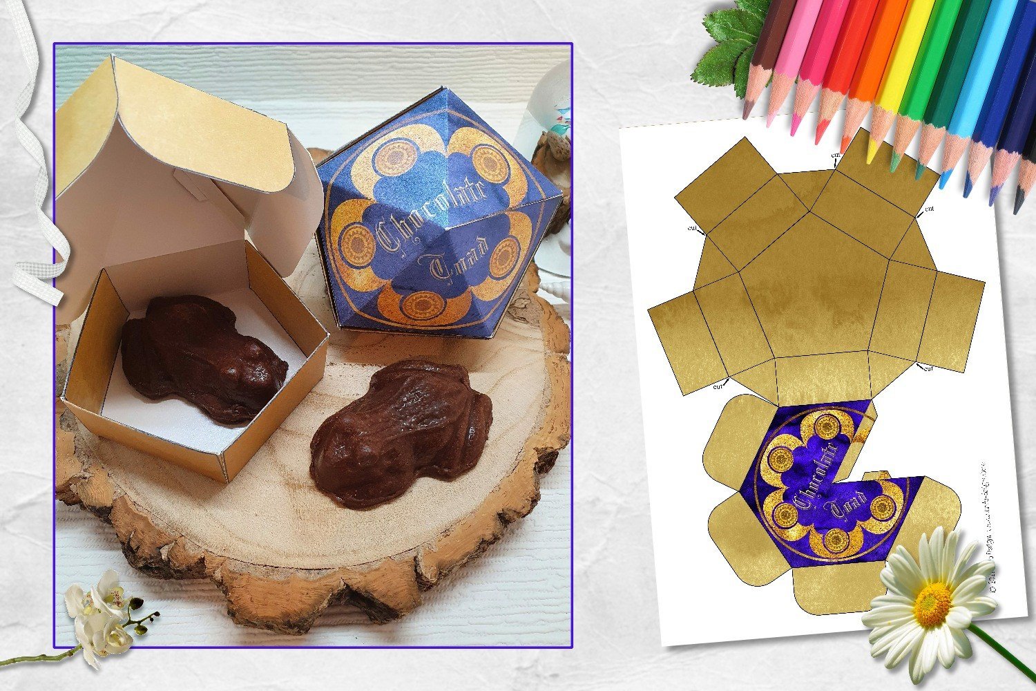 Chocolate Toad Box