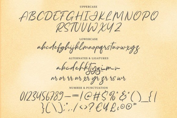 Ranchel Font PNG with transparent background - Preview 6