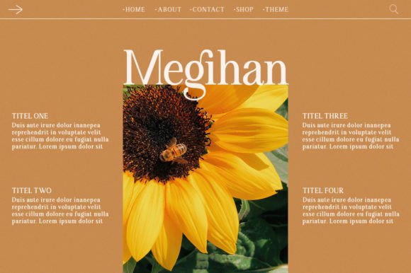 Angilena Font PNG with transparent background - Preview 4
