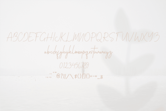 Austacopi Font - Preview 2