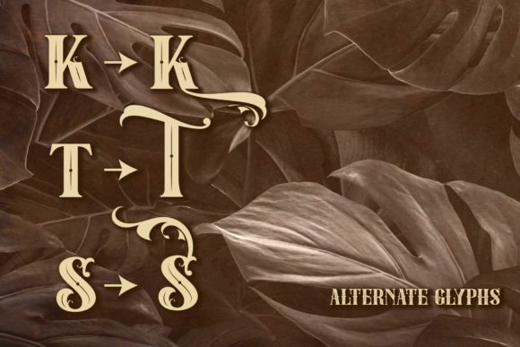 Dolkern Font - Preview 2
