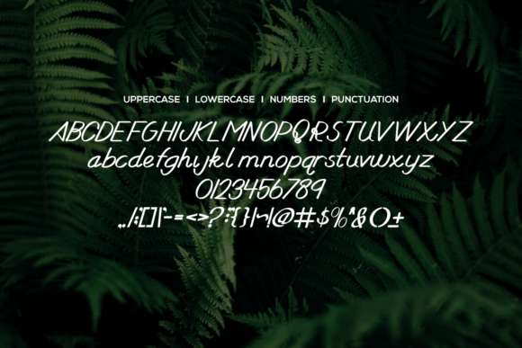 Enteitalic Font - Preview 2