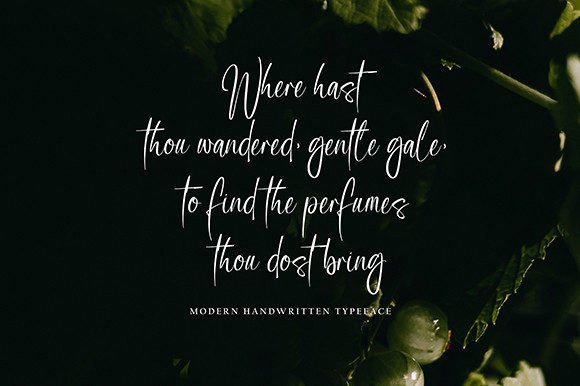 Guster Bopharte Font - Preview 1