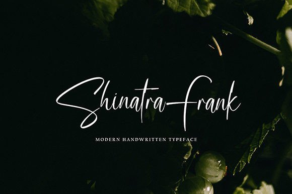 Guster Bopharte Font - Preview 6