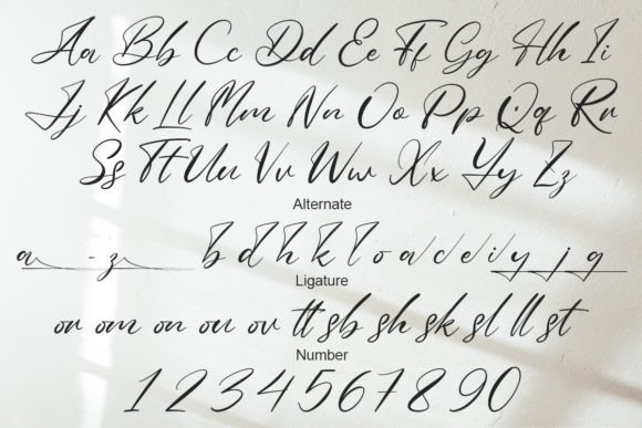 Helleglone Signature Font - Preview 6