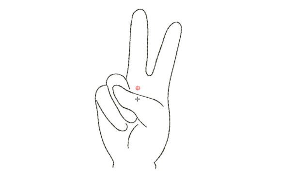 Peace Fingers Sign