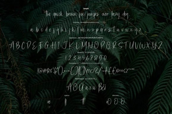 Ballostna Font - Preview 5