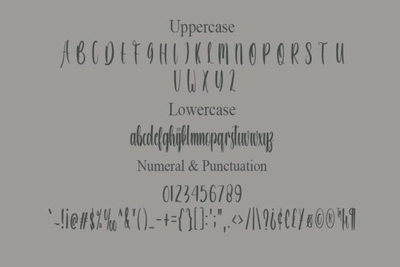Butterfly Font - Preview 4