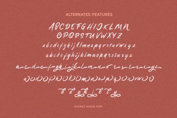 District Rogue Font - Preview 6