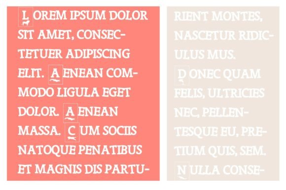 Flashcard Font - Preview 3