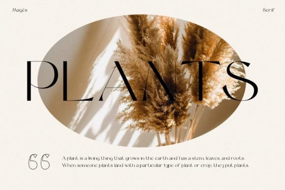 Magès Font PNG with transparent background - Preview 6