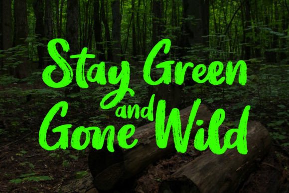 Queynston Font PNG with transparent background - Preview 2
