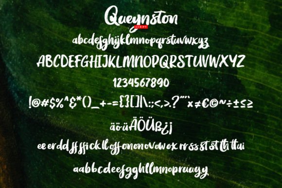 Queynston Font PNG with transparent background - Preview 4