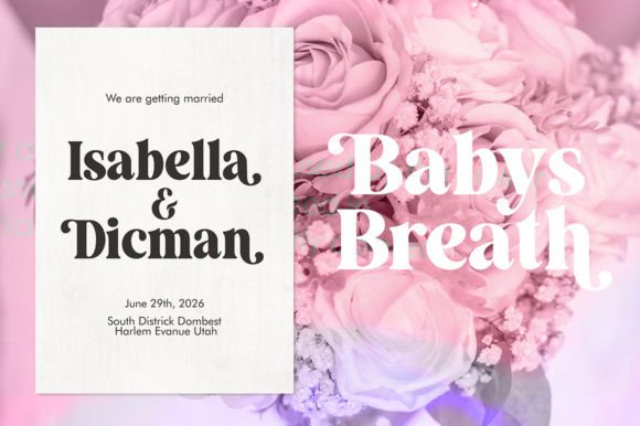 Remaid Font PNG with transparent background - Preview 4