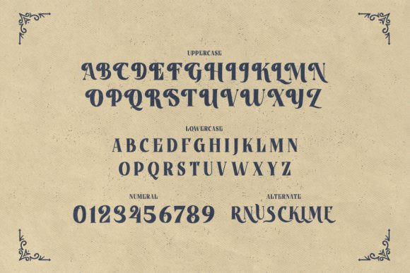 Bidzina Font - Preview 1