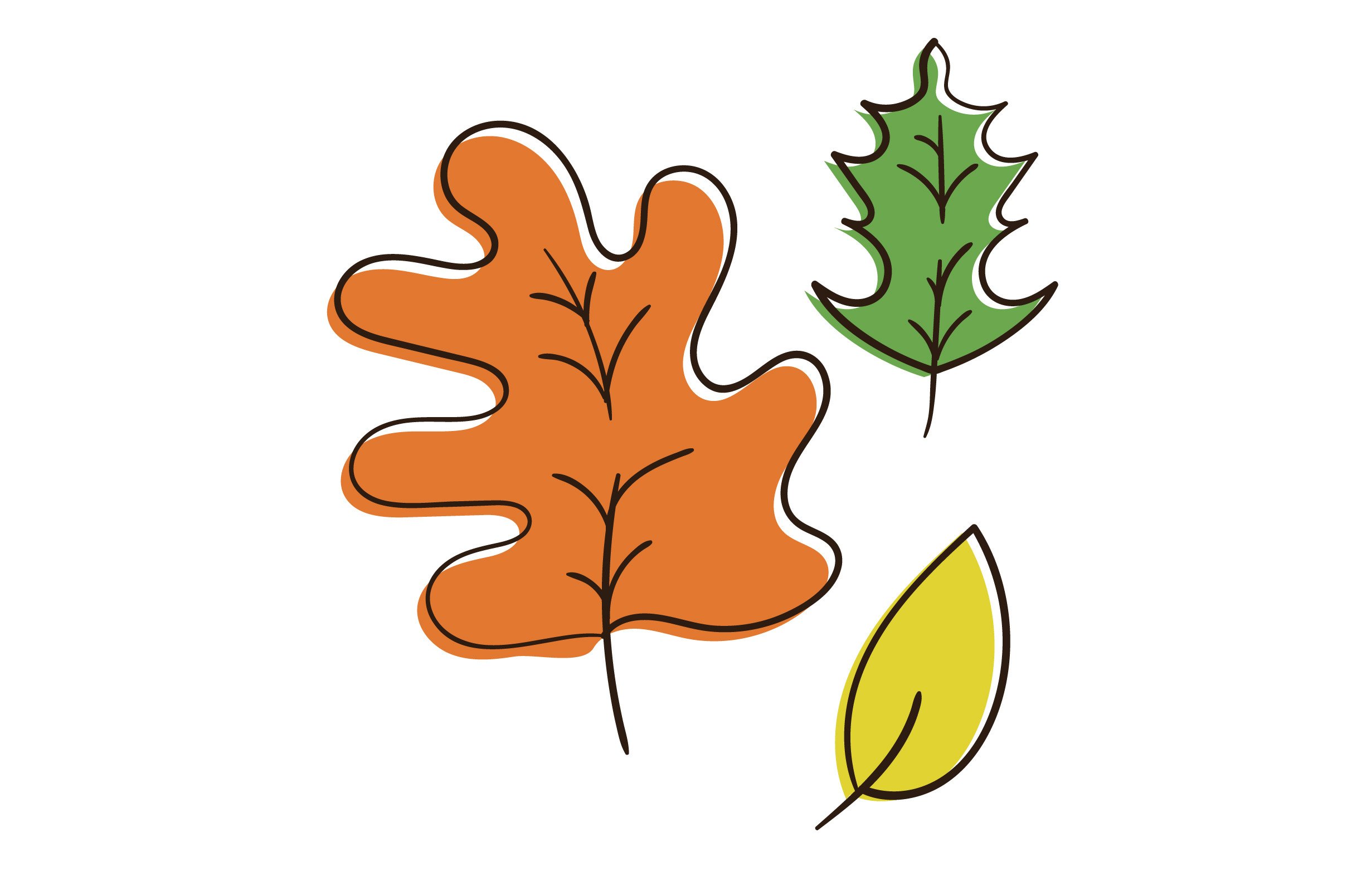 Fall Leaves