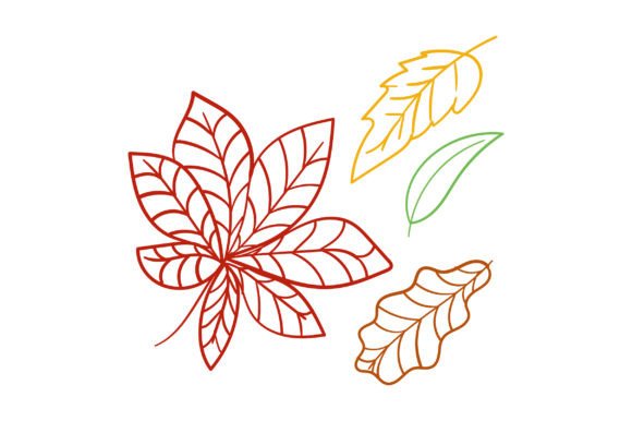 Fall Leaves