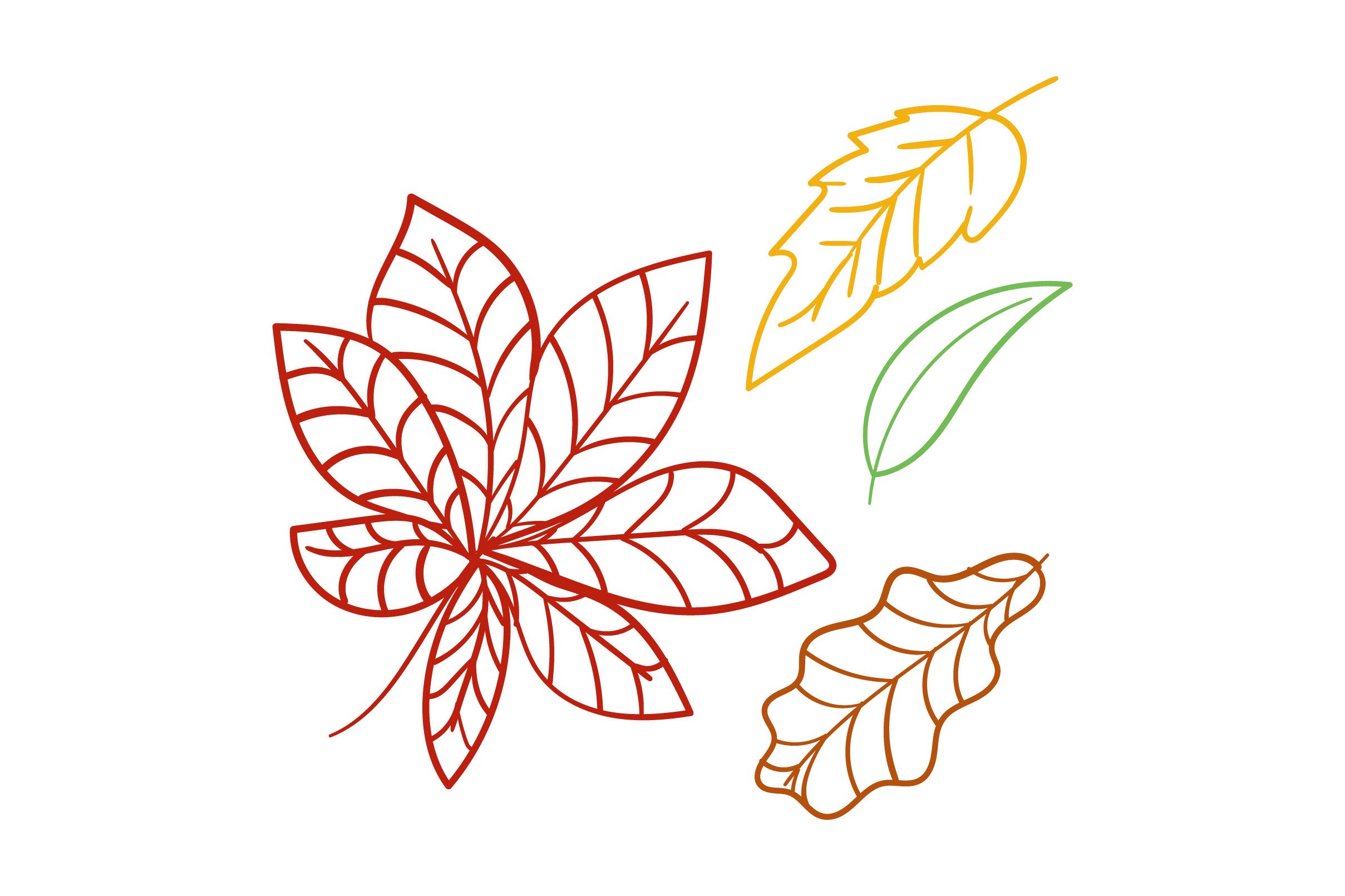 Fall Leaves