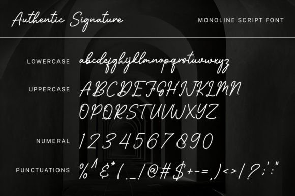 Authentic Signature Font - Preview 6