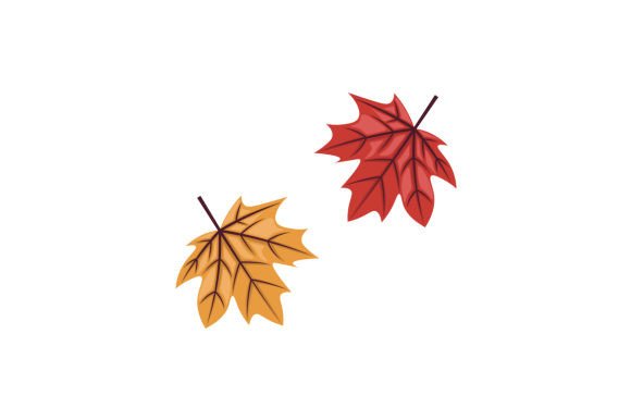 Fall Leaves