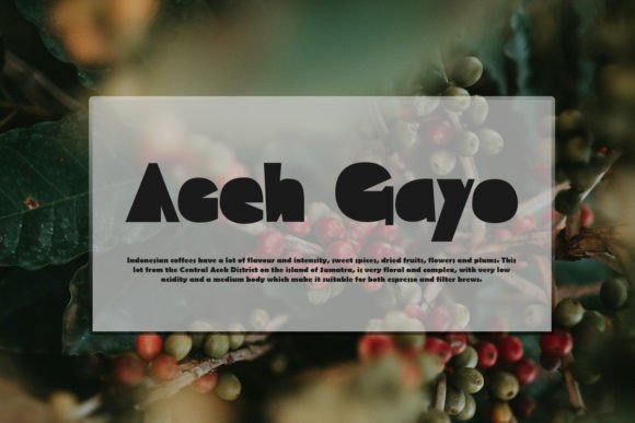 Draw and Talks Font PNG with transparent background - Preview 4