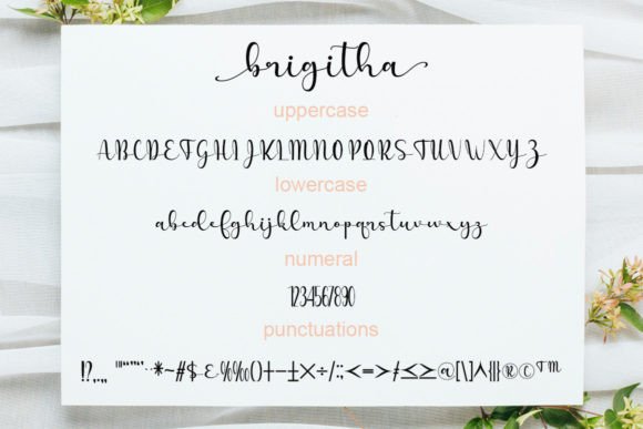 Brigitha Font - Preview 4