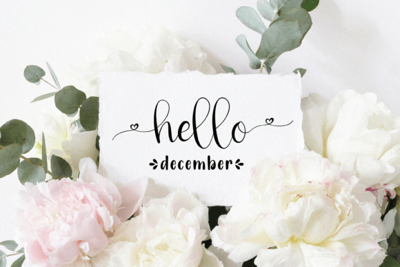 Nicola Aquine Font PNG with transparent background - Preview 5
