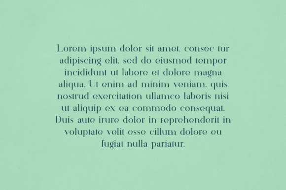 Beeba Font - Preview 2